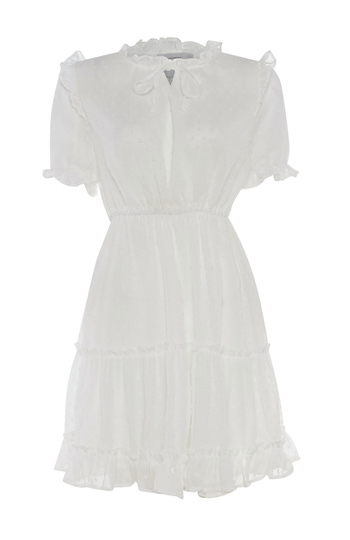 Ruffle Neck Swiss Dot Dress Slide 1