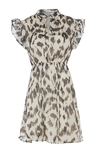 Animal Print Mini Dress Slide 1