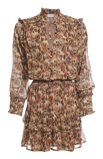 Cheetah Print Button Up Mini Dress Slide 1