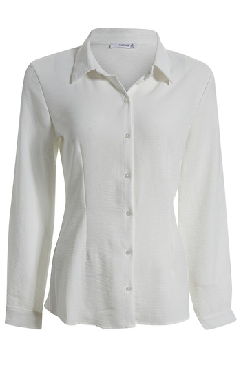 Princess Seam Shirt Slide 1