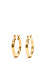 Etched Hinge Hoop Earrings Thumb 1