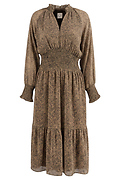 Leopard Maxi Dress