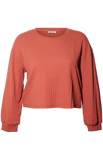 Long Sleeve Textured Crop Top Slide 1