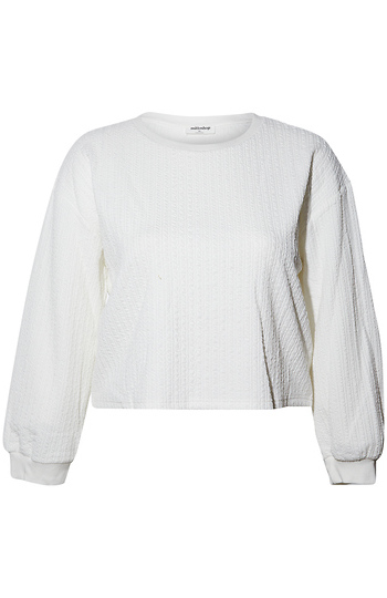 Long Sleeve Textured Crop Top Slide 1