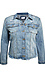 Distressed Denim Jacket Thumb 1