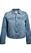 Distressed Trucker Jacket Thumb 1