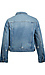 Distressed Trucker Jacket Thumb 2