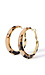 Tortoise gilded hoops Thumb 1
