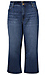 KUT from the Kloth High Rise Denim Thumb 1