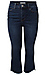 High Rise Cropped Flare Jean Thumb 1