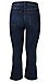 High Rise Cropped Flare Jean Thumb 2