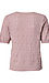 Textured Short Sleeve Knit Top Thumb 2