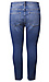 Raw Hem Crop Denim Thumb 2