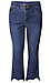 Democracy Absolution High Rise Bootcut Jean Thumb 1