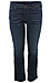 Silver Jeans Co. High Rise Slim Bootcut Jean Thumb 1