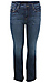 Silver Jeans Co. High Rise Bootcut Jean Thumb 1