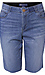 Democracy Bermuda Shorts Thumb 1