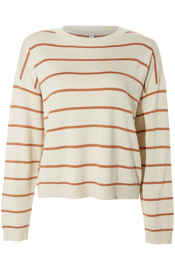 Long Sleeve Striped Top Slide 1