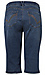 Democracy Absolution Denim Capri Thumb 2