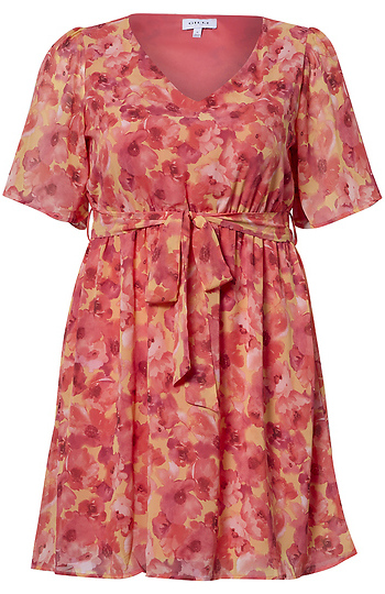Floral V-Neck Short Dress Slide 1