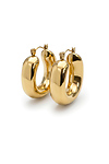 Gold Sculpted Hoops