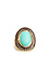DAILYLOOK Turquoise Shield Ring Thumb 1