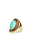 DAILYLOOK Turquoise Shield Ring Thumb 3