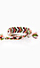 Laffy Taffy Friendship Bracelet Thumb 2