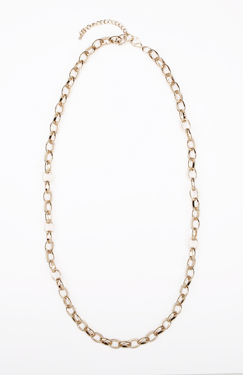 Chain Link Necklace Slide 1