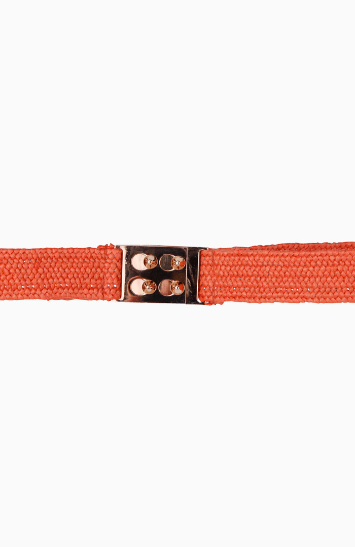 Orange Belt in Orange DAILYLOOK