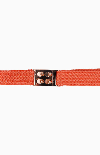 Orange Belt in Orange | DAILYLOOK