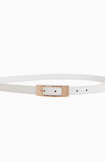 Sleek Seasonal Belt Slide 1