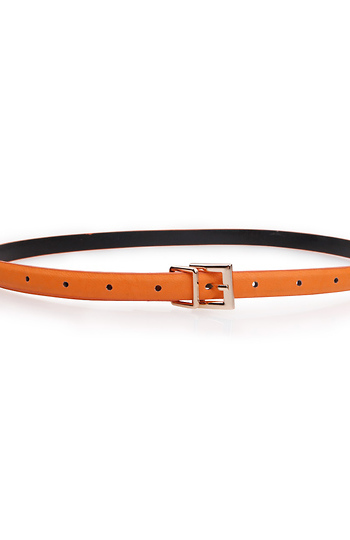 Creamsicle Skinny Belt Slide 1