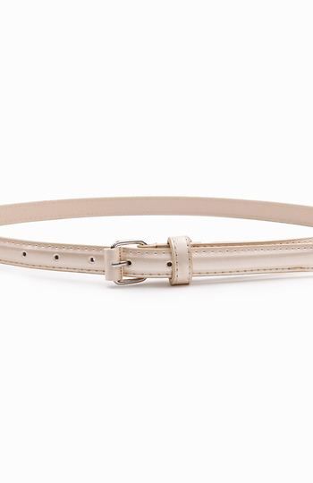 Metallic Beige Belt Slide 1