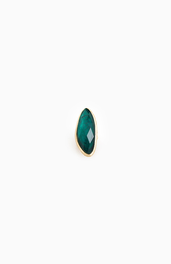 Beatle Ring Slide 1
