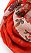 Floral Border Scarf Thumb 2