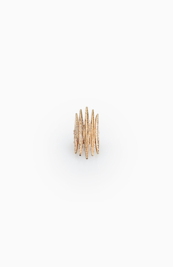 Pointed Feather Ring Slide 1