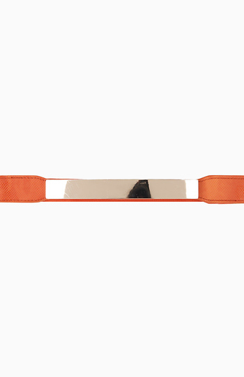 Metal Plate Elastic Belt Slide 1