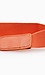 Metal Plate Elastic Belt Thumb 2