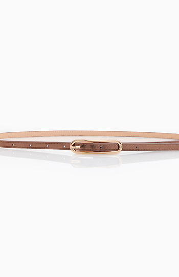 Skinny Metallic Belt Slide 1