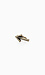 Arrow Ring Thumb 1