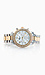 Mixed Metal Watch Thumb 2