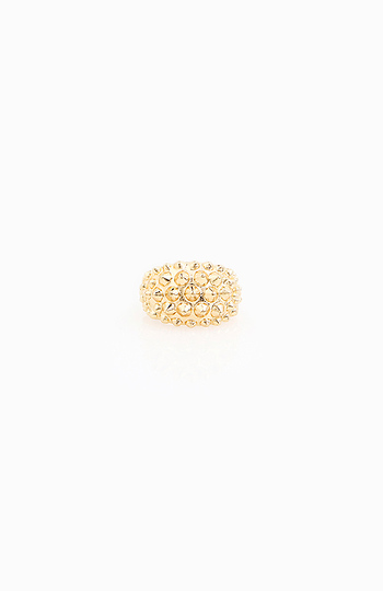 Hedgehog Ring Slide 1