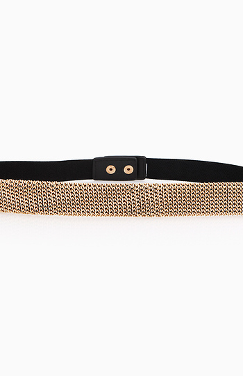 Champion Chainlink Belt Slide 1
