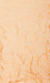 Peachy Keen Scarf Thumb 2