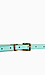 Creamsicle Skinny Belt Thumb 4