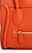 Autumn Handbag Thumb 4