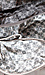 Classy Hobo Handbag Thumb 5