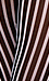 Striped Mesh Leggings Thumb 4