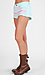 Embroided Cutoffs Thumb 2